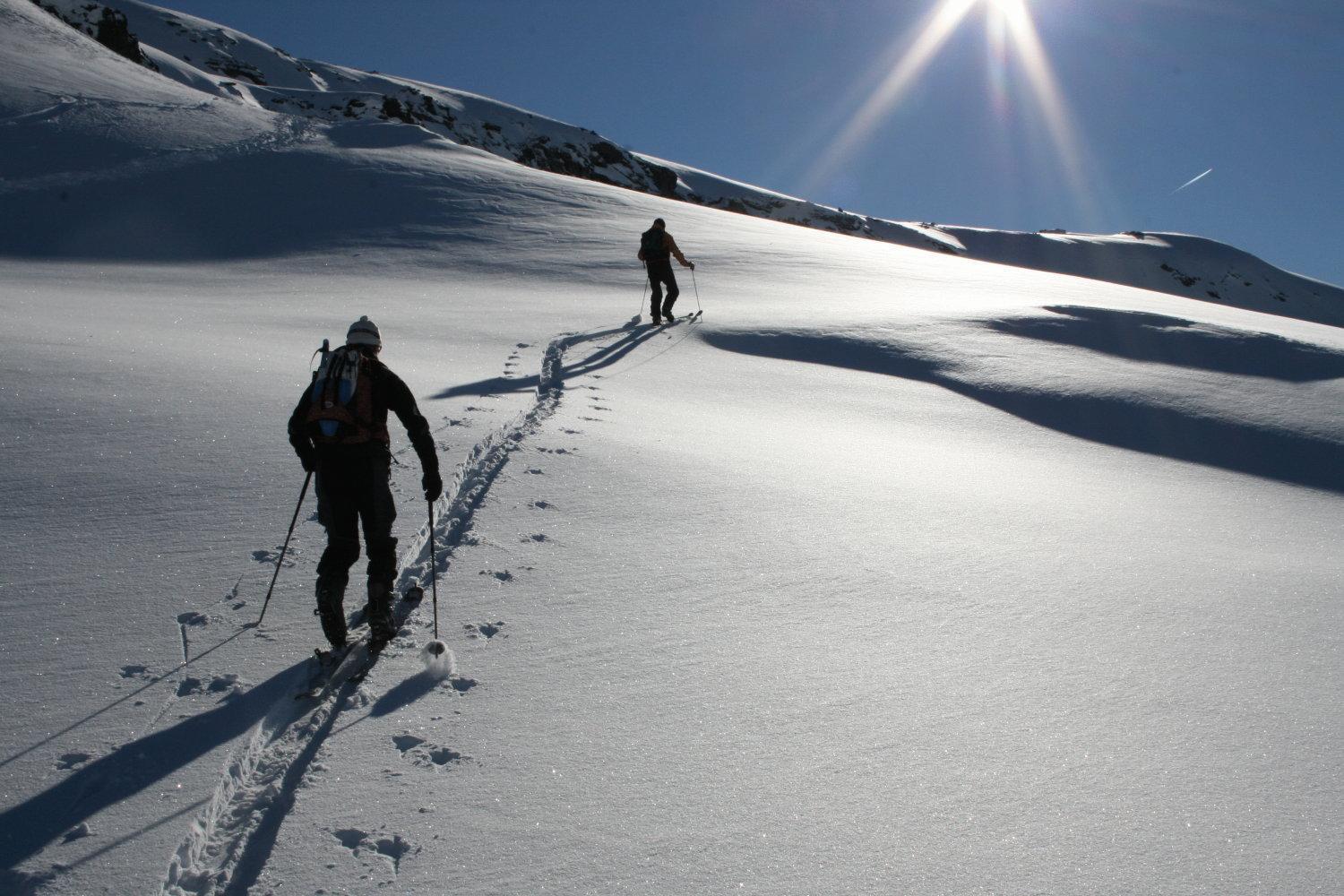 Albergo Alpenrose Ski&Bike Mountain Hotel Gressoney-Saint-Jean Extérieur photo