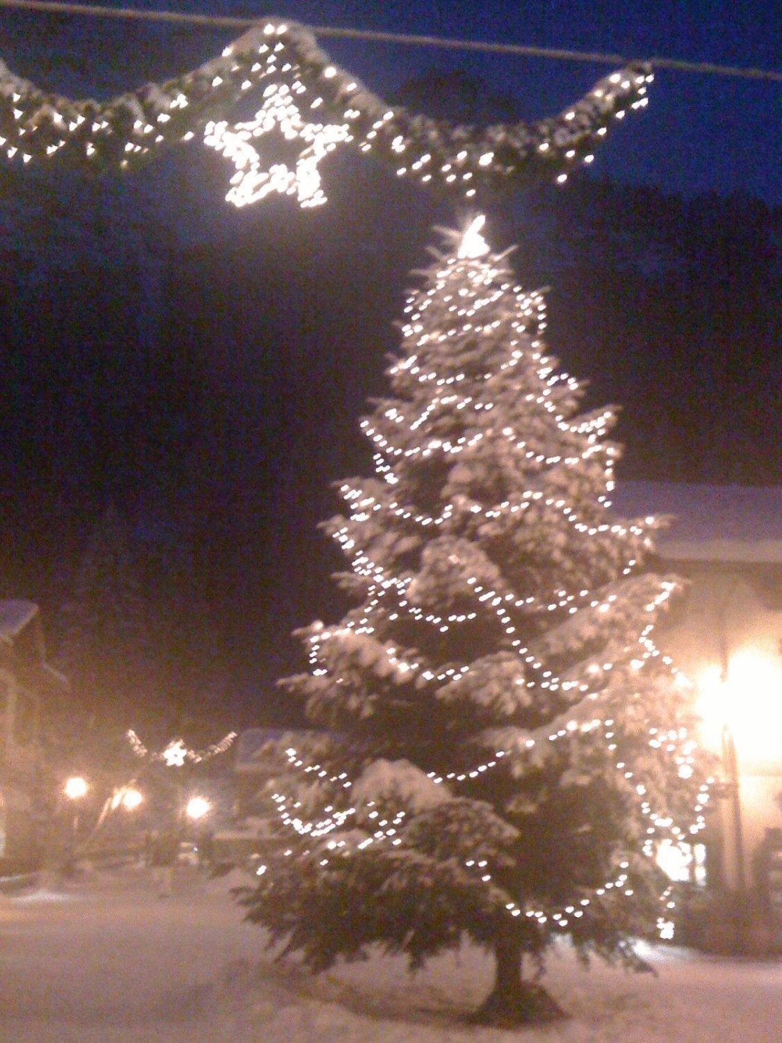 Albergo Alpenrose Ski&Bike Mountain Hotel Gressoney-Saint-Jean Extérieur photo