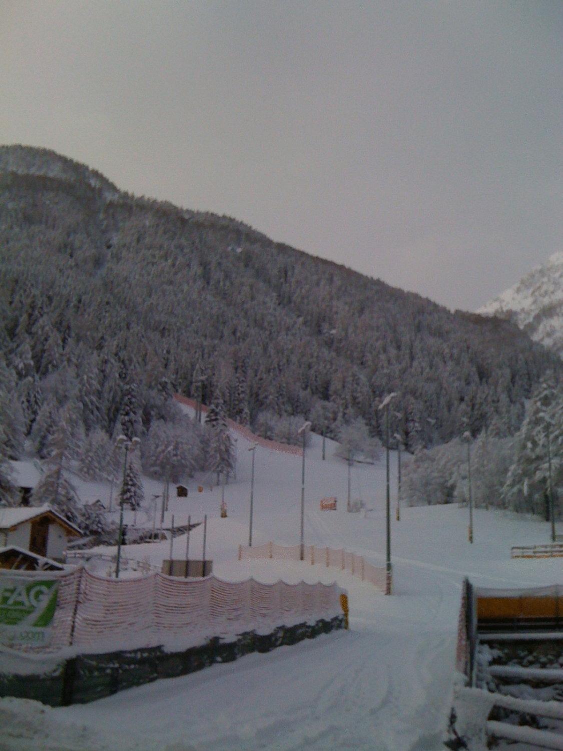 Albergo Alpenrose Ski&Bike Mountain Hotel Gressoney-Saint-Jean Extérieur photo