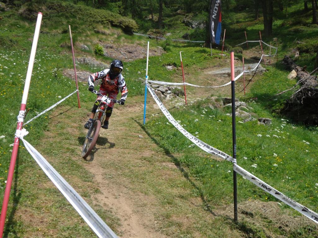 Albergo Alpenrose Ski&Bike Mountain Hotel Gressoney-Saint-Jean Extérieur photo