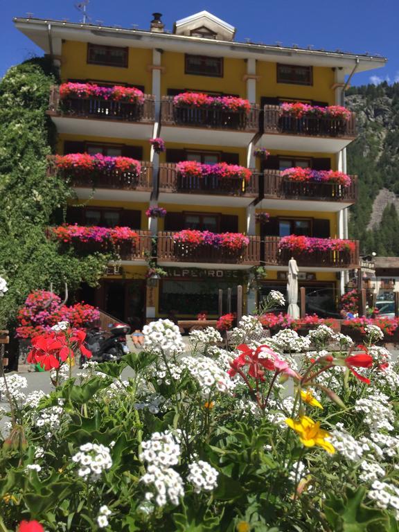 Albergo Alpenrose Ski&Bike Mountain Hotel Gressoney-Saint-Jean Extérieur photo