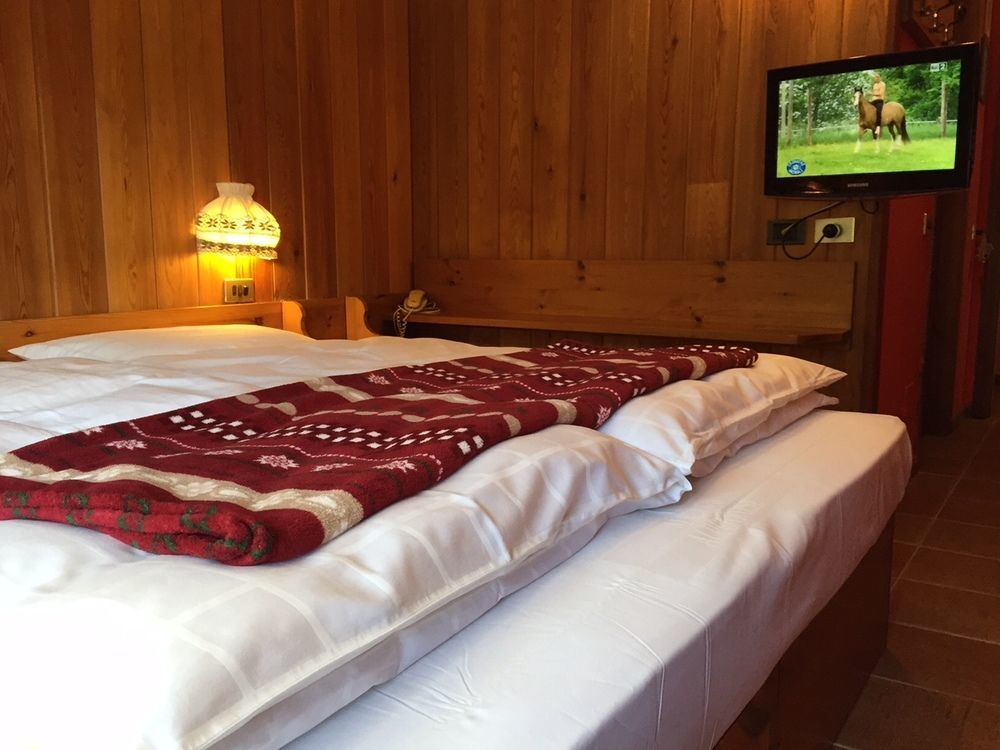 Albergo Alpenrose Ski&Bike Mountain Hotel Gressoney-Saint-Jean Extérieur photo
