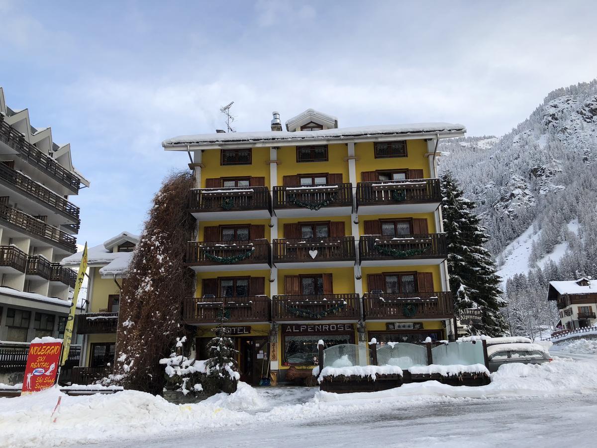 Albergo Alpenrose Ski&Bike Mountain Hotel Gressoney-Saint-Jean Extérieur photo