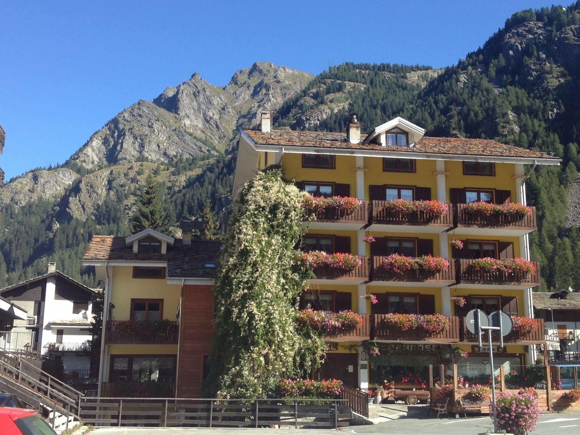 Albergo Alpenrose Ski&Bike Mountain Hotel Gressoney-Saint-Jean Extérieur photo