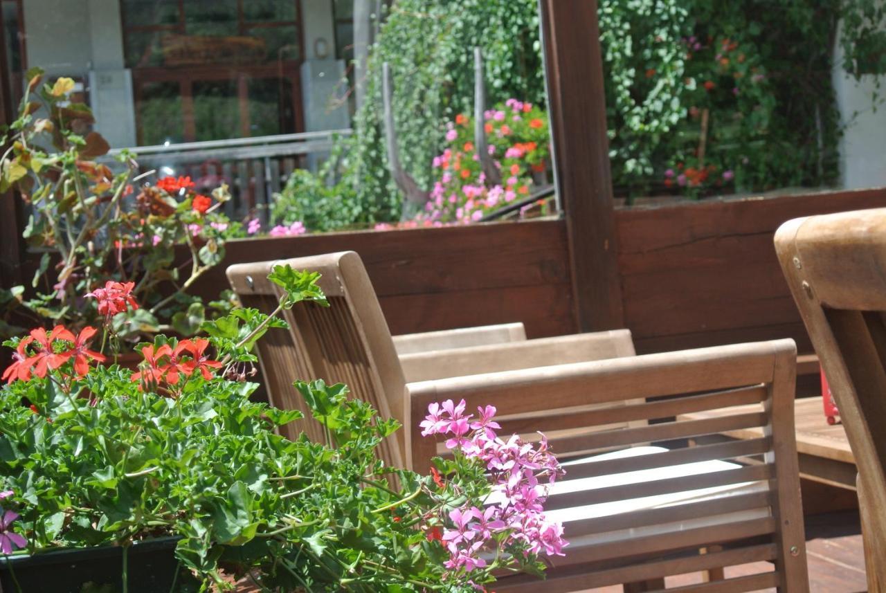 Albergo Alpenrose Ski&Bike Mountain Hotel Gressoney-Saint-Jean Extérieur photo